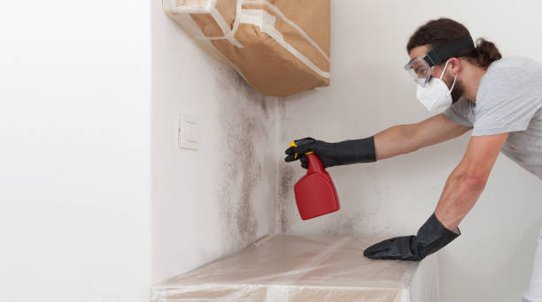 Professional Basement Mold Remediation technician working in Buffalo Grove, IL